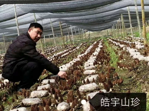 &#49;&#88;&#66;&#69;&#84;&#38598;&#22242;&#23448;&#32593;&#40;&#20013;&#22269;&#41;&#23448;&#26041;&#32593;&#31449;