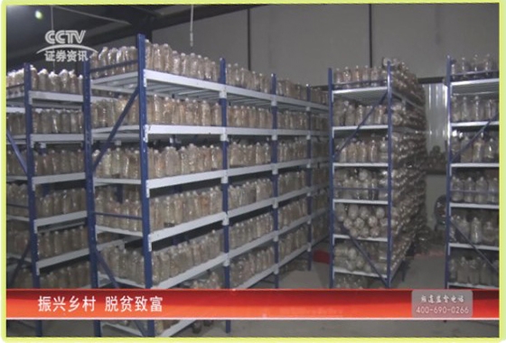 &#49;&#88;&#66;&#69;&#84;&#38598;&#22242;&#23448;&#32593;&#40;&#20013;&#22269;&#41;&#23448;&#26041;&#32593;&#31449;