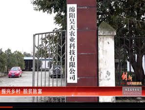 &#49;&#88;&#66;&#69;&#84;&#38598;&#22242;&#23448;&#32593;&#40;&#20013;&#22269;&#41;&#23448;&#26041;&#32593;&#31449;
