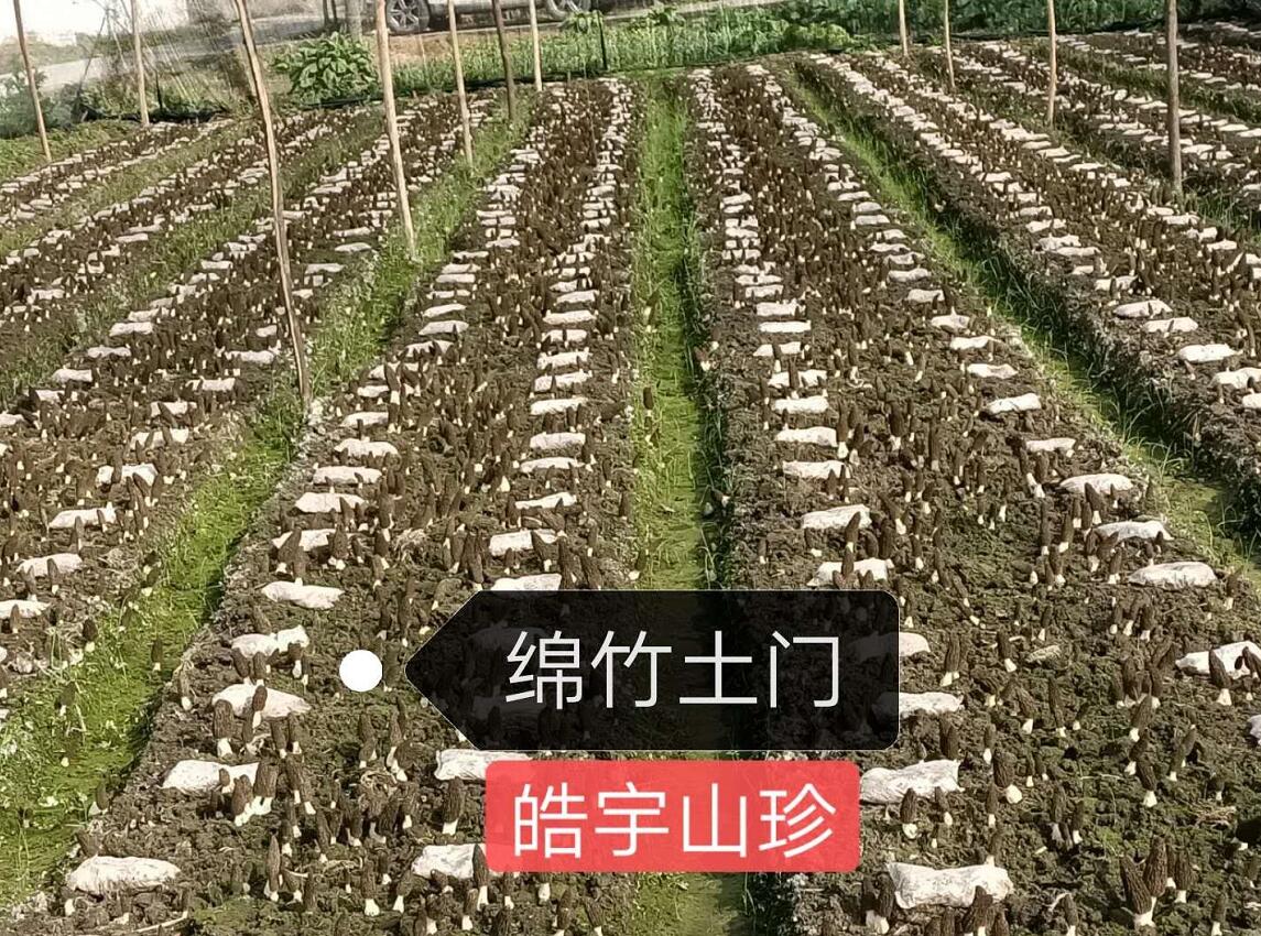 &#49;&#88;&#66;&#69;&#84;&#38598;&#22242;&#23448;&#32593;&#40;&#20013;&#22269;&#41;&#23448;&#26041;&#32593;&#31449;