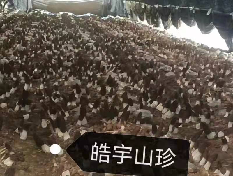 &#49;&#88;&#66;&#69;&#84;&#38598;&#22242;&#23448;&#32593;&#40;&#20013;&#22269;&#41;&#23448;&#26041;&#32593;&#31449;