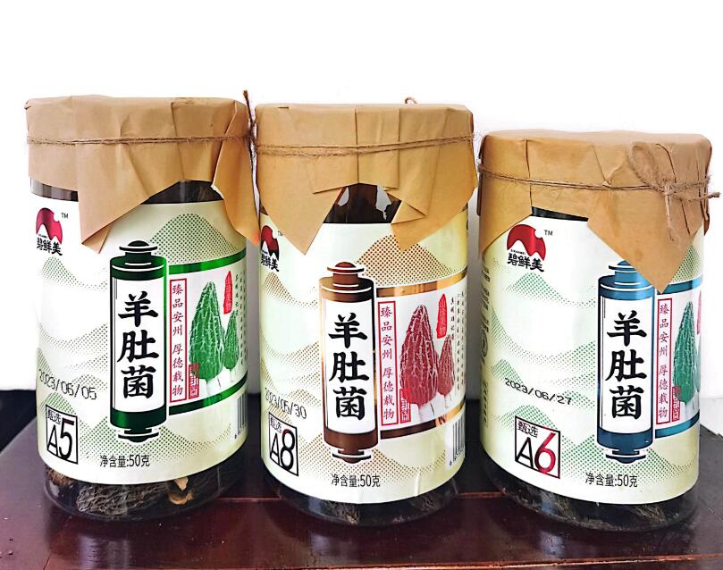 &#49;&#88;&#66;&#69;&#84;&#38598;&#22242;&#23448;&#32593;&#40;&#20013;&#22269;&#41;&#23448;&#26041;&#32593;&#31449;